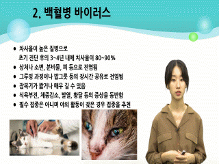 강좌 이미지