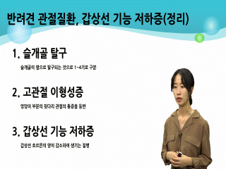 강좌 이미지