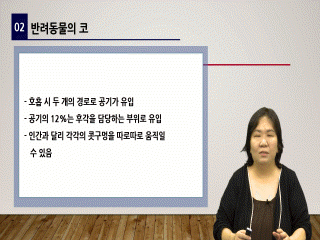 강좌 이미지